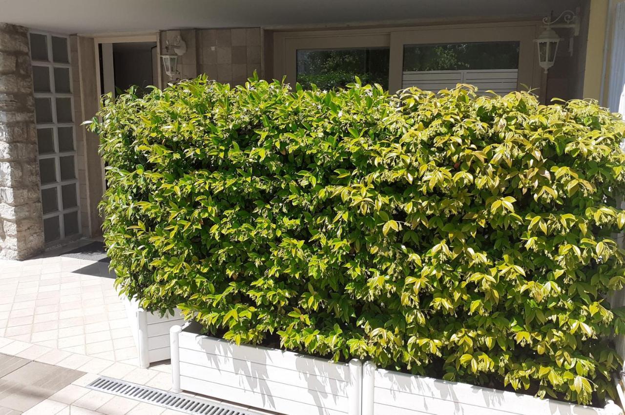 Minzoni94 - Twobedroom+Garden Lido di Camaiore Luaran gambar